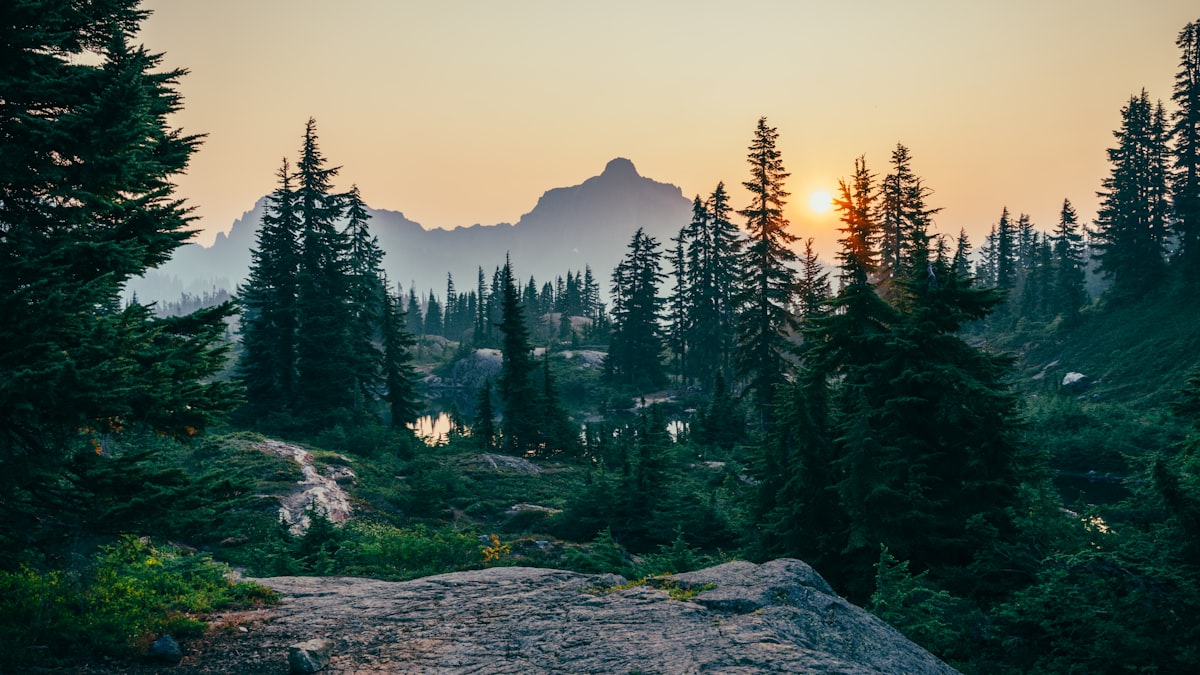 Slide background