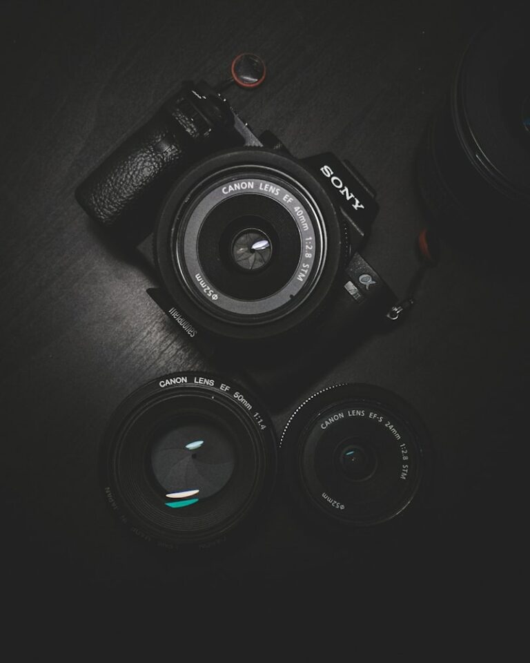Sony Alpha A7 IV Mirrorless (solo corpo)