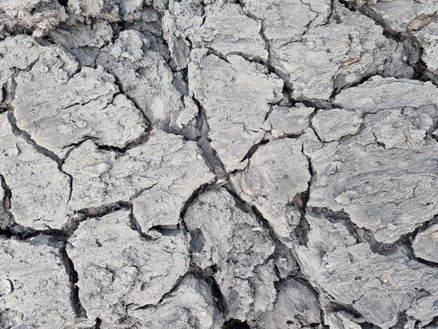 close-up — weatherproof soil probe in soil